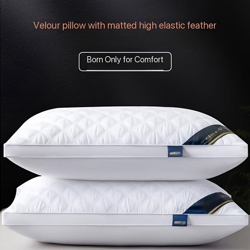 SLEEP COMFORT - Premium Kissen 2er-Set