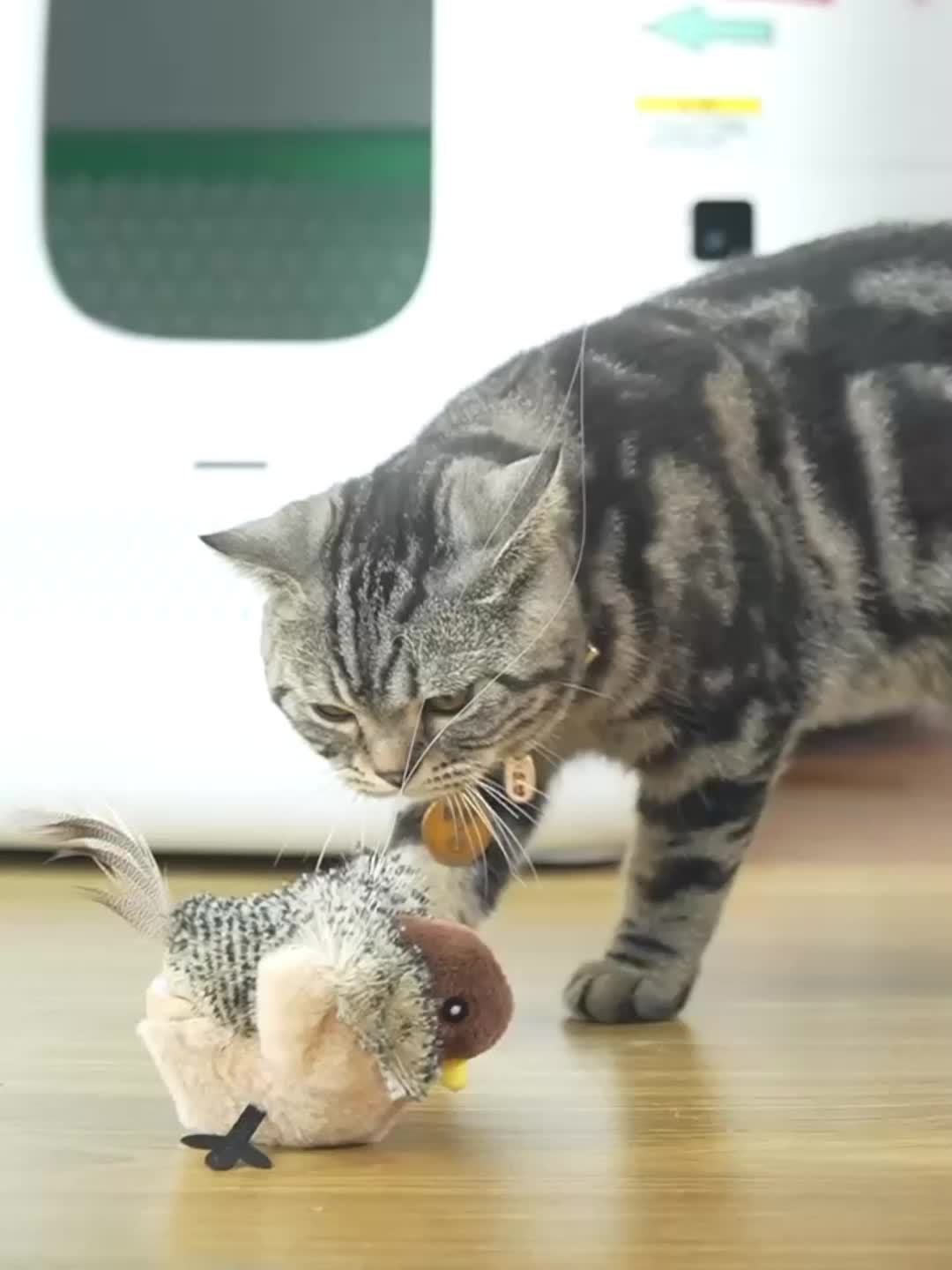 PURR ACTIVE - Premium Katzenspielzeug mit Sound