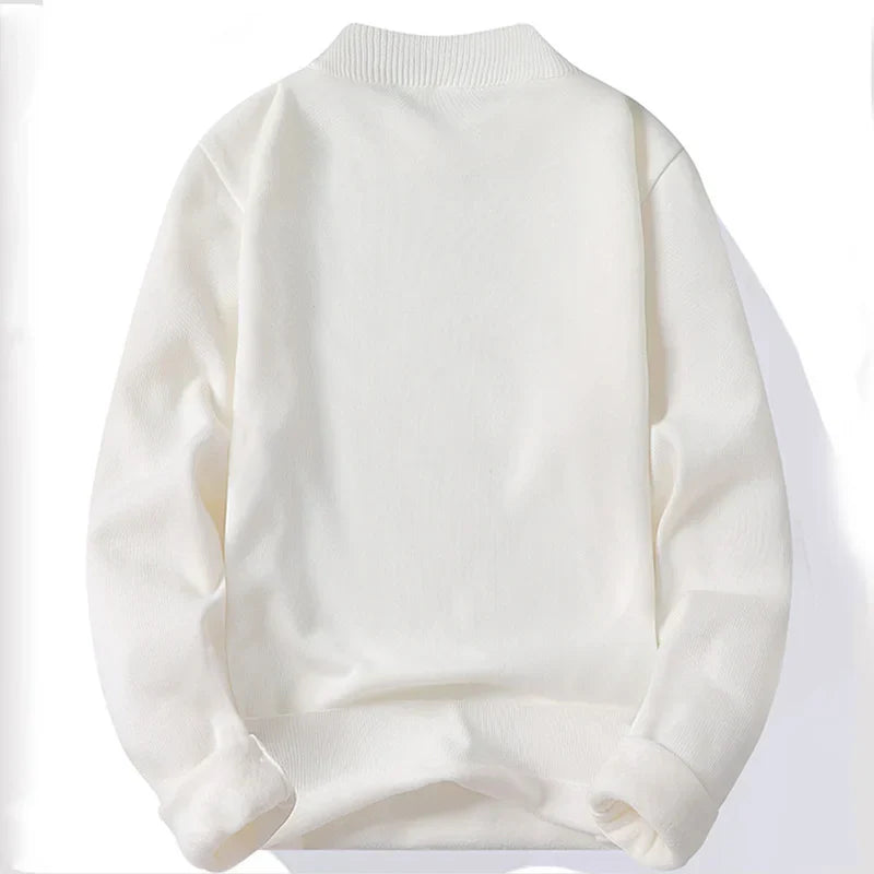 Roger | Herren Strickpullover