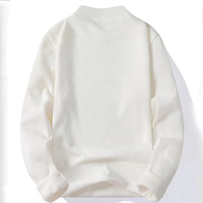 Roger | Herren Strickpullover